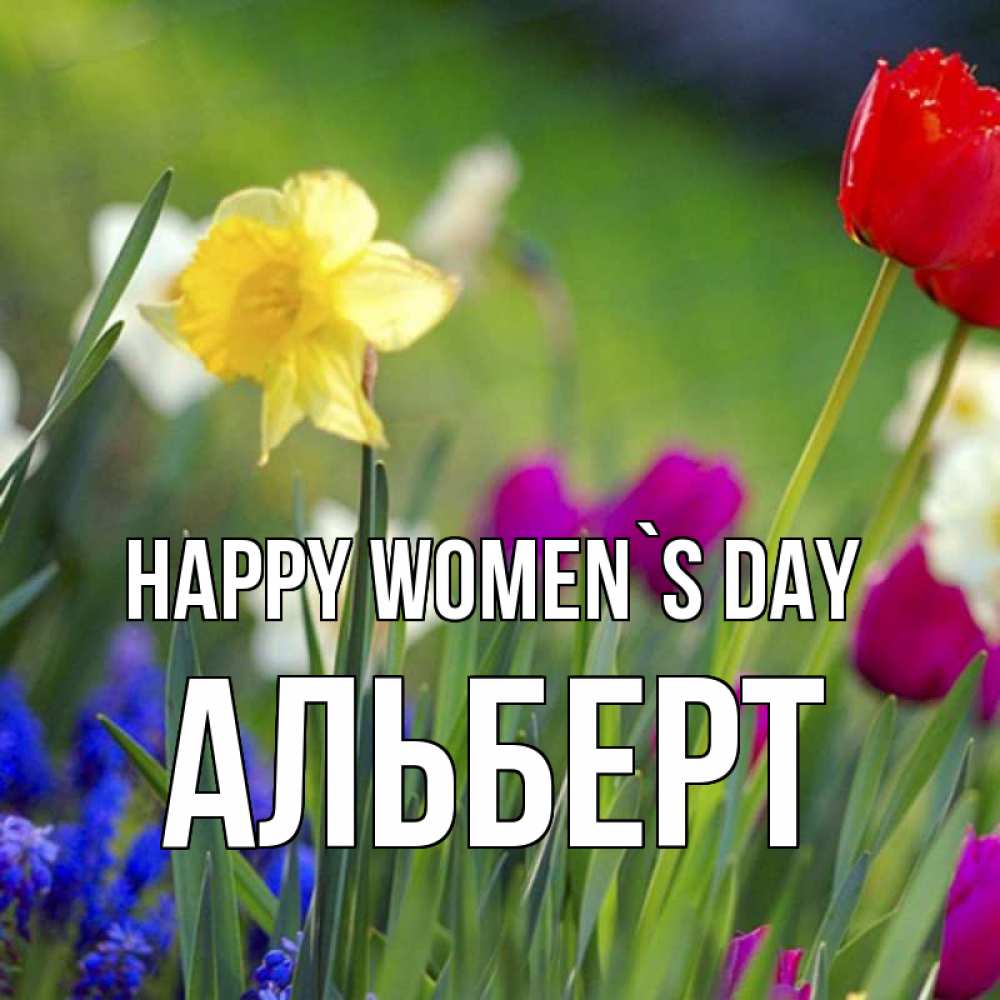 Greetings card с именем, Альберт happy women`s day международный женский день 3 Greetings with text for free download 